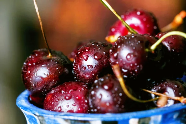 Amazing Ripe Cherries Drops Water Blue Bowl — Photo