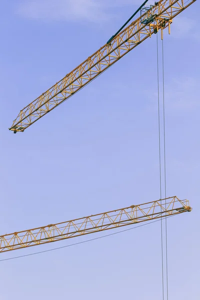 Nice yellow cranes — Stock Photo, Image