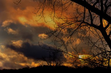 Aralık ayında altın günbatımı