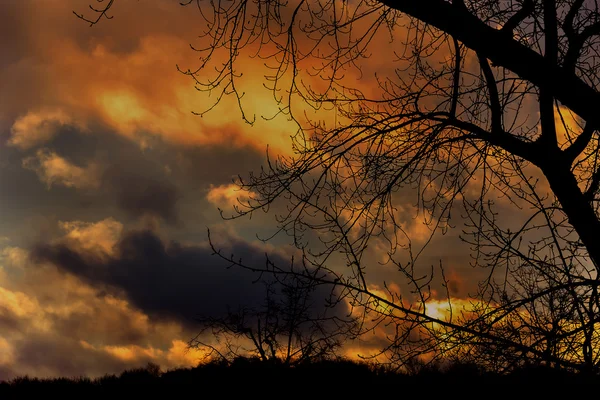 Goldener Sonnenuntergang im Dezember — Stockfoto