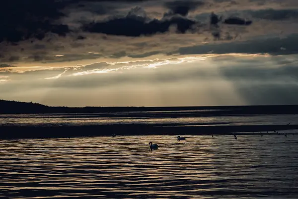 Donkere zonsondergang op het water — Stockfoto