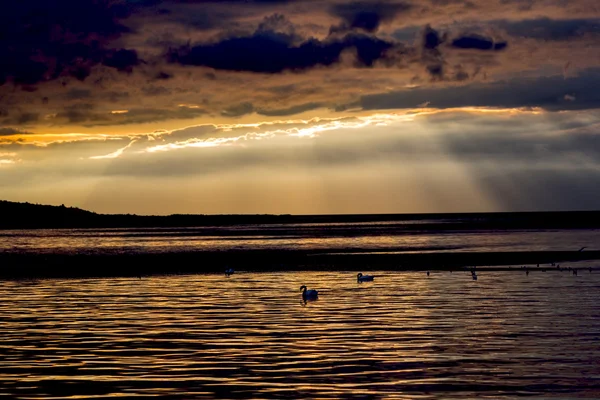 Mooie donker goud zonsondergang op het water — Stockfoto