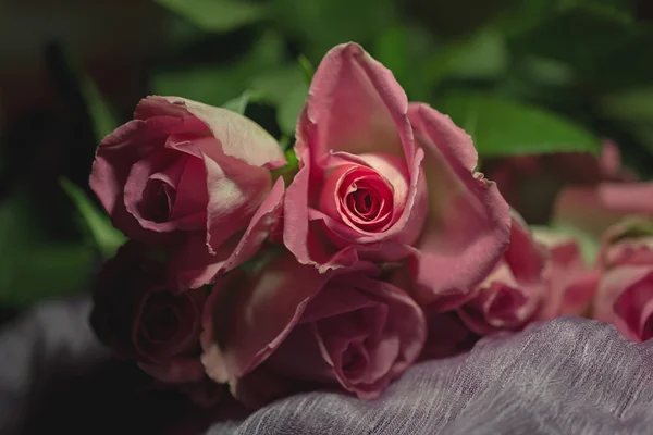Schönheit Rose im Strauß frisch rosa Rosen — Stockfoto