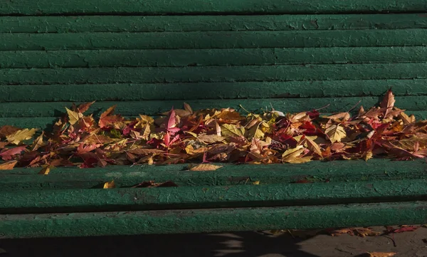 Outono folhas coloridas em um banco de parque em um dia ensolarado — Fotografia de Stock