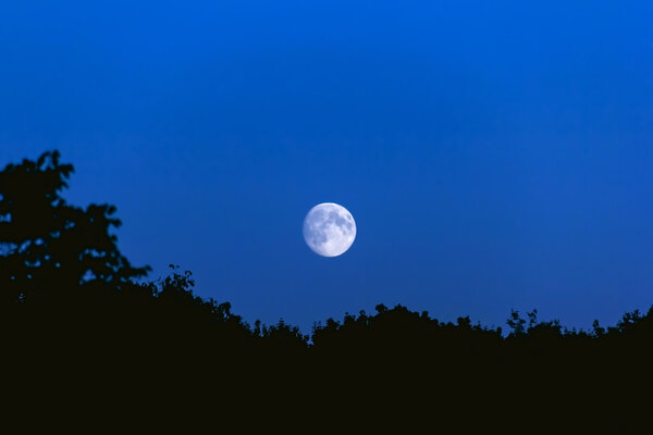Full moon in dark blue sky above silhouette of trees