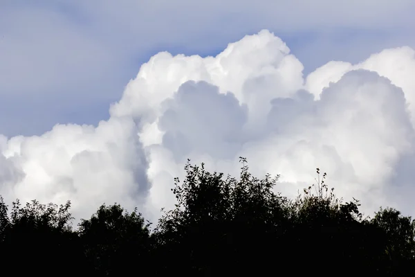Nuvens brancas no céu azul acima das árvores em um dia claro — Fotografia de Stock
