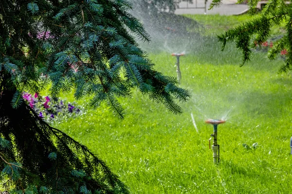 Pulverizadores de água no jardim — Fotografia de Stock