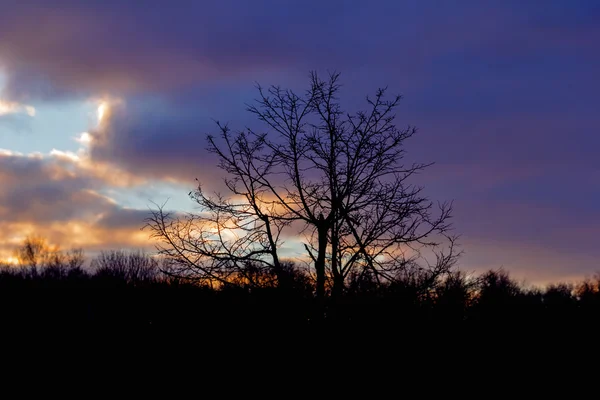 Winterdämmerung mit hellem Himmel — Stockfoto