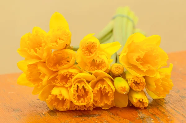 Ramo de narcisos amarillos frescos —  Fotos de Stock