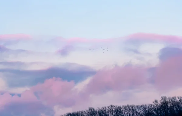 雲と柔らかいピンクの夕日 — ストック写真