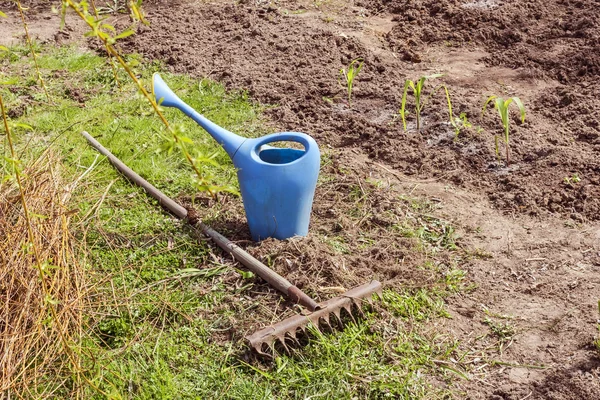 Garden watering can and rake — Stock Photo, Image