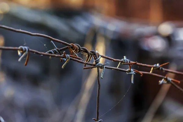 Detailní záběr Staré ostnatým drátem — Stock fotografie