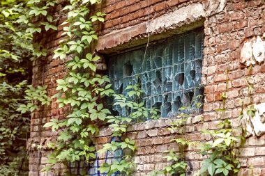 Kırık tuğla bina penceresinde