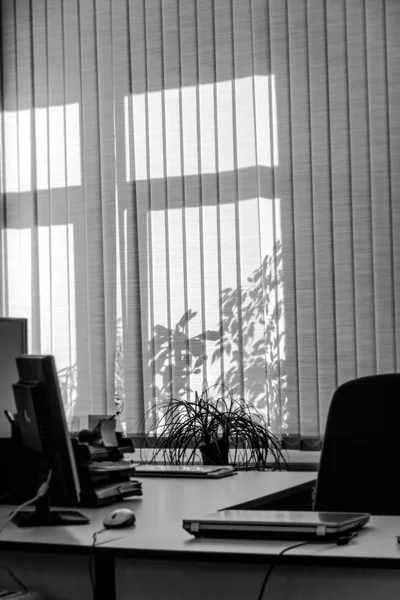 Office kör bahisleri