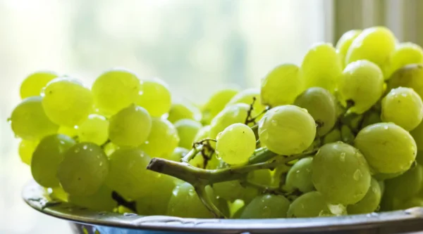 Uvas verdes maduras — Foto de Stock