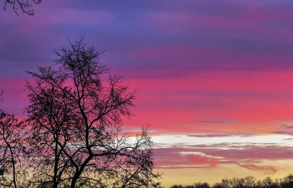 Bademeister — Stockfoto