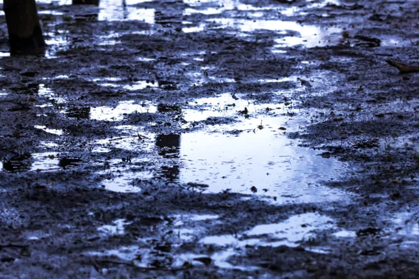 Slush and mud on road — Stock Photo, Image