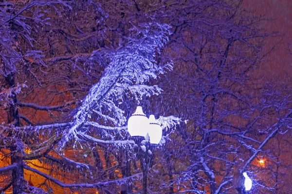 Lanterne dans le parc d'hiver — Photo