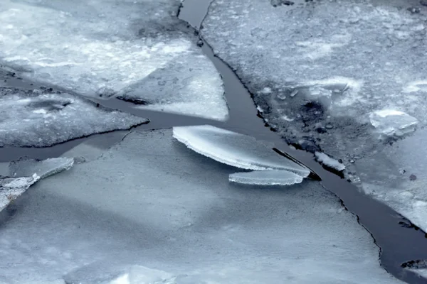 Ice on water — Stock Photo, Image