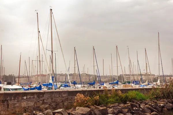 Лодки Женевы — стоковое фото
