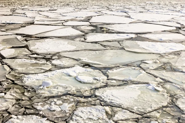 Лед на воде — стоковое фото