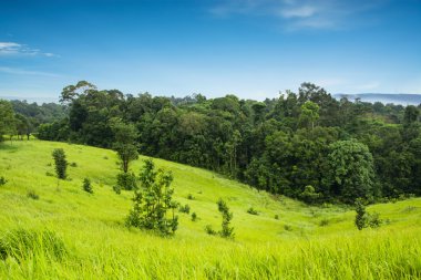 yeşil çayır ve dağlar