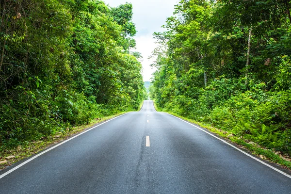 Carretera y bosque verde — Foto de Stock