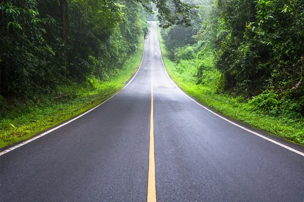 Carretera y bosque verde — Foto de Stock