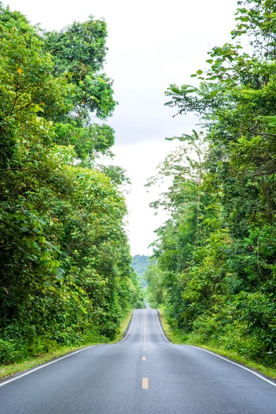 Carretera y bosque verde — Foto de Stock