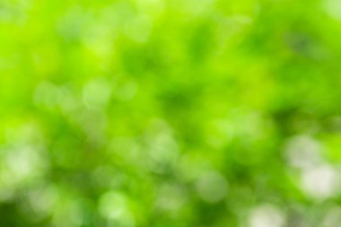 Soyut doğa ile bokeh arka plan bulanık