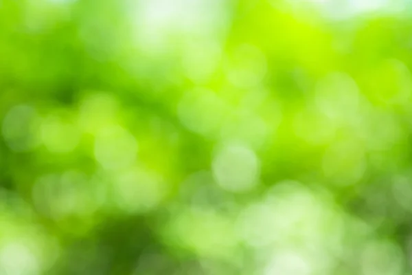 Abstract nature blurred background with bokeh — Stock Photo, Image