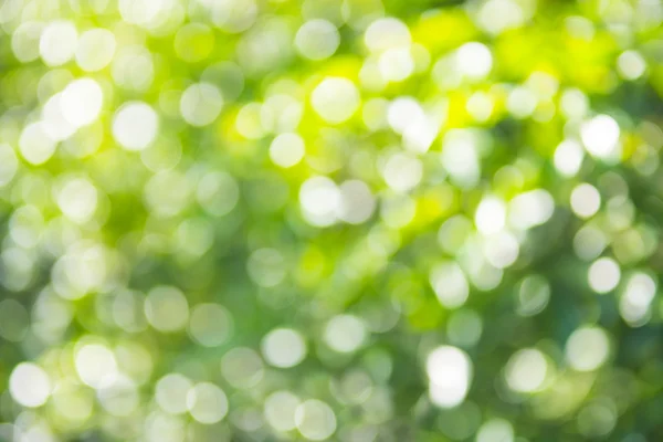 Abstract nature blurred background with bokeh — Stock Photo, Image