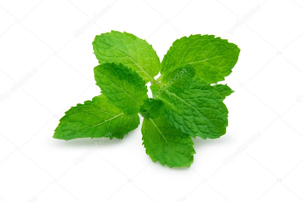 Peppermint isolated with shadow on white background
