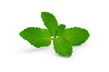 Beyaz zemin üzerine gölge izole nane