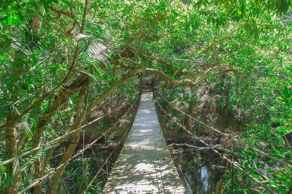 Puente de madera a la selva — Foto de Stock