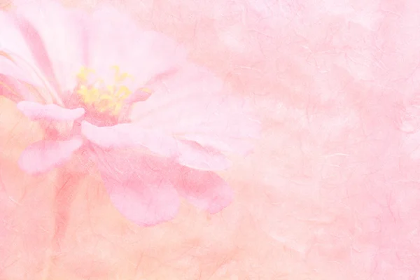 el yapımı kağıt veya dut Kağıt Doku pembe çiçekler