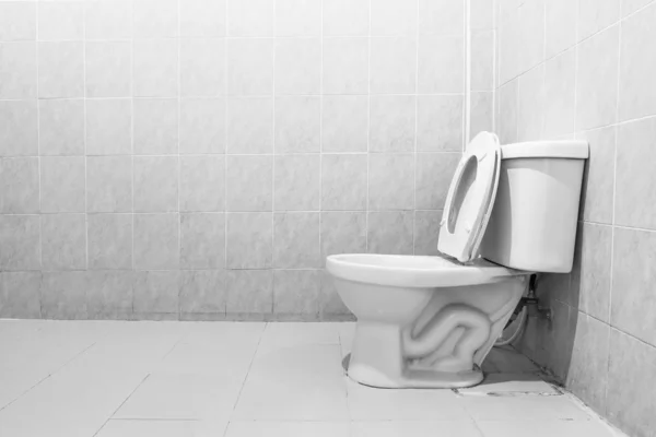 Toilet — Stock Photo, Image