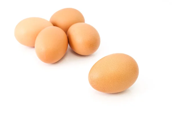 Eggs — Stock Photo, Image