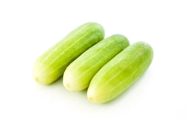 Pepino — Foto de Stock