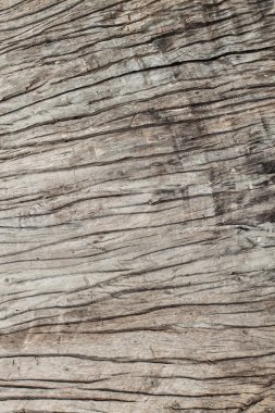 Ahşap doku 