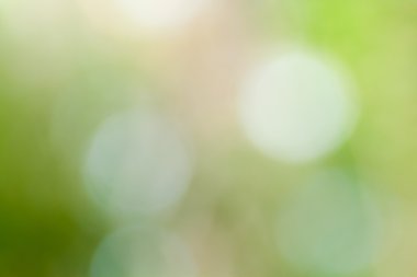 yeşil arka plan bulanık