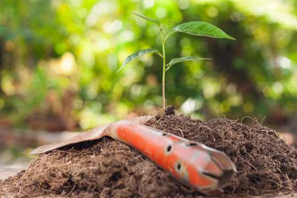 Young plant growing on brown soil with shovel on green bokeh bac — Stock Photo, Image