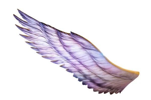 Wings — Stock Photo, Image