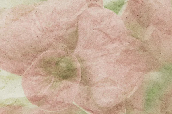 Orchid op papier textuur voor achtergrond — Stockfoto