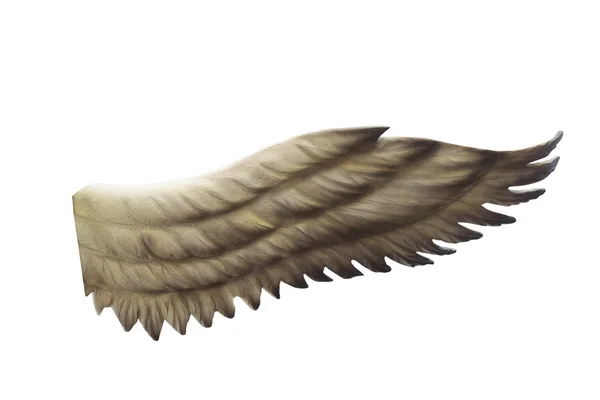 Wings isolated — Stock Photo, Image