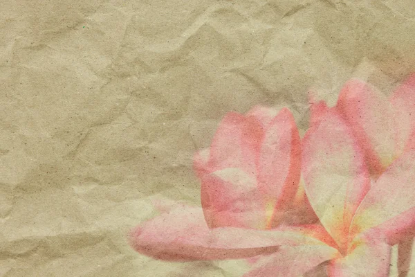 Frangipani op papier textuur voor achtergrond — Stockfoto