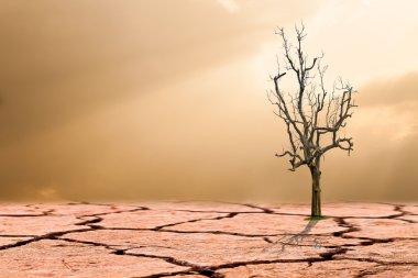 Global warming concept.dead tree on cracked desert landscape clipart