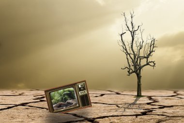 küresel ısınmayı azaltmak için reforest için kampanya