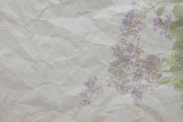 Purple flower on paper texture — Stock fotografie