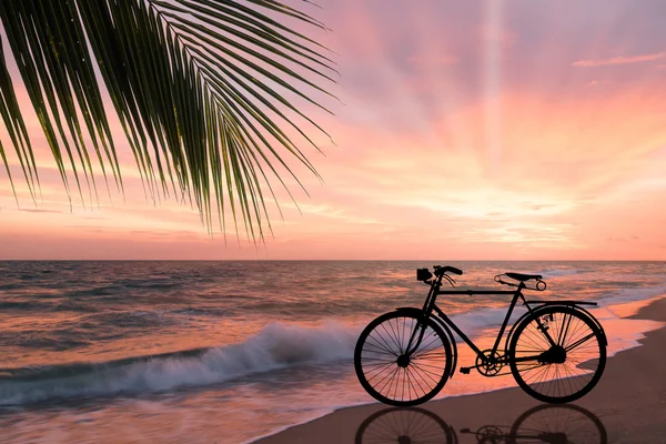 Silhouette of retro bicycle on sandy beach — Stok fotoğraf